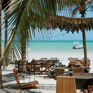 4* Отель Casa Tortugas Petit &
